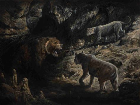 Ursus Spelaeus And Panthera Leo Spelaea In Barová Cave Moravian Kras