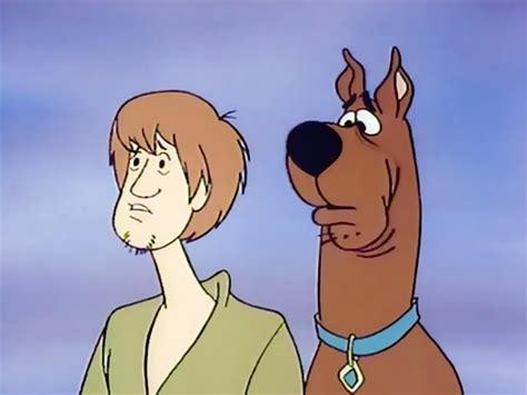 Scooby Doo And Shaggy Rogers