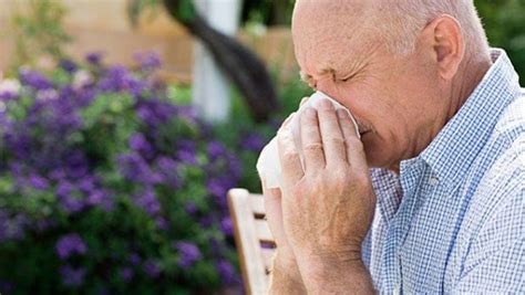 Help Seniors Stay Safe During Allergy Season