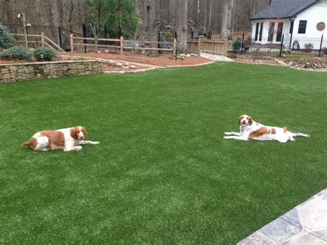 Artificial grass is an investment because you no longer need to spend time and money on lawn maintenance. SoftLawn® Pet Turf | Fake Grass for Dogs | Synthetic Turf International