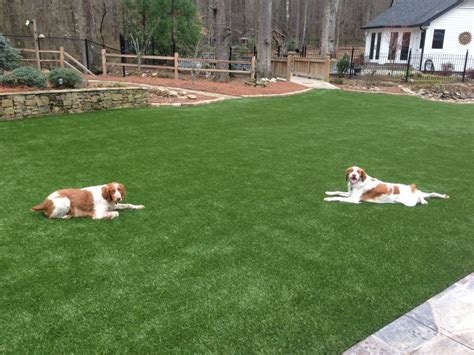 It's usable all year, never needs cutting and looks just like the real stuff. SoftLawn® Pet Turf | Fake Grass for Dogs | Synthetic Turf ...