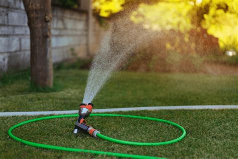 How To Use A Soaker Hose The Best Guide You Need To Follow