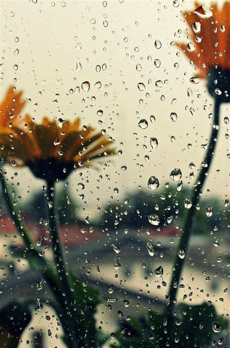 Download 92 Gratis Wallpaper Aesthetic Rain Hd Terbaik Background Id