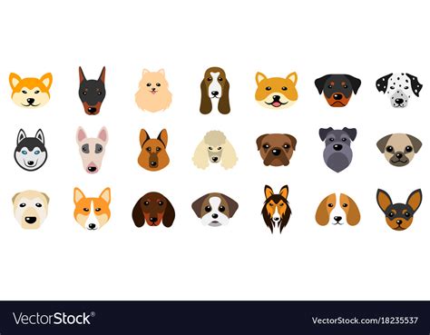 Set Heads Of Dogs Collection Different Breeds Vector Image