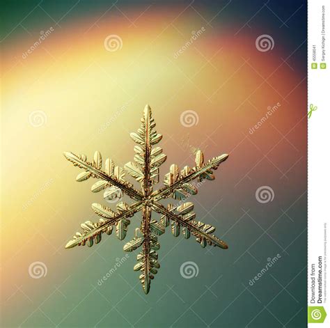 Macro Snowflake Ice Crystals Present Stock Photo Image