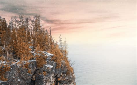 Download Wallpaper 2560x1600 Sea Cliff Trees Snow Landscape