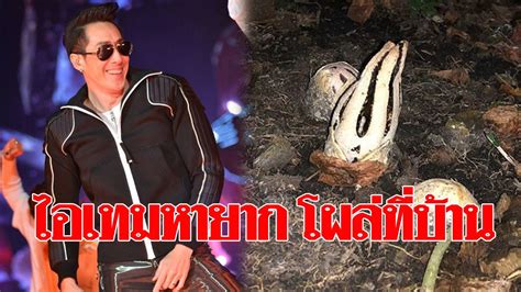 โหวตเลขเด็ด งวด 16 สิงหาคม 2564 โหวตเลขเด็ดที่คุณคิดว่า มาแน่งวด 16/8/64 นี้ !! ไอเทมหายาก! "เจ เจตริน" โพสต์โชว์ เห็ดหายากติดอันดับโลก ...