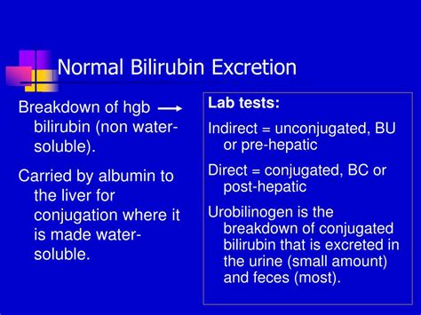 In the time it takes you to read this sentence aloud, roughly 20 million of. PPT - Management of Patients with Hepatic/Biliary ...
