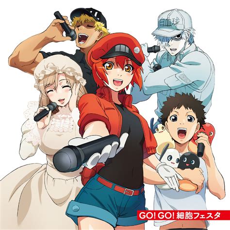 White Blood Cell Red Blood Cell Ae 3803 U 1146 Killer T And 3 More