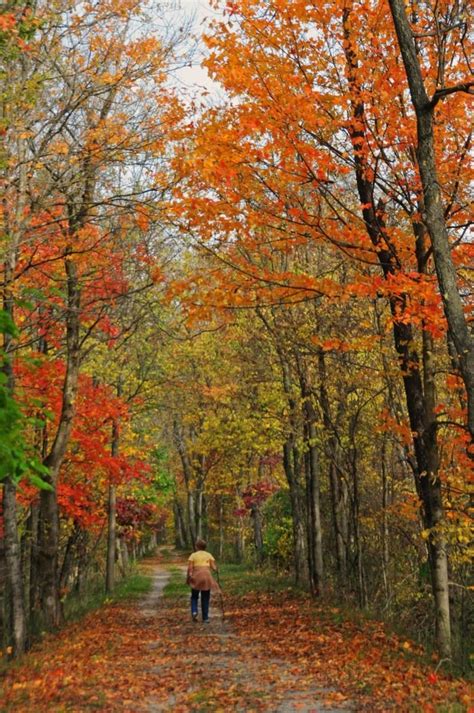 Take This Two Hour Drive To See The Best Fall Foliage In Maryland