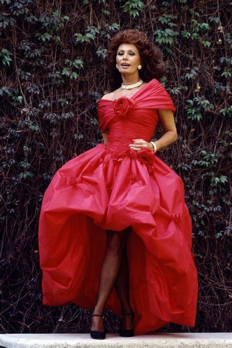 Foxybelka Sophia Loren Sofia Loren Sophia Loren Images