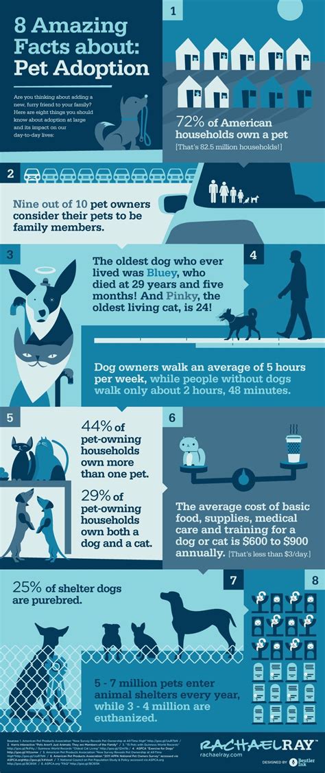 He directed residents to the town's new testing site, situated on an empty parking lot at the train station. 8 Amazing Facts About Pet Adoption - Rachael Ray # ...