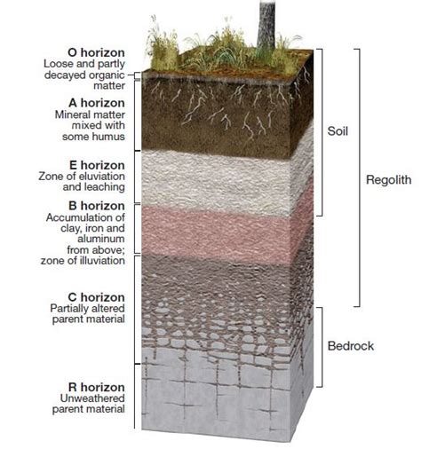 Soil Profile Upsc Diagram And Layers Geography Optional Digitally