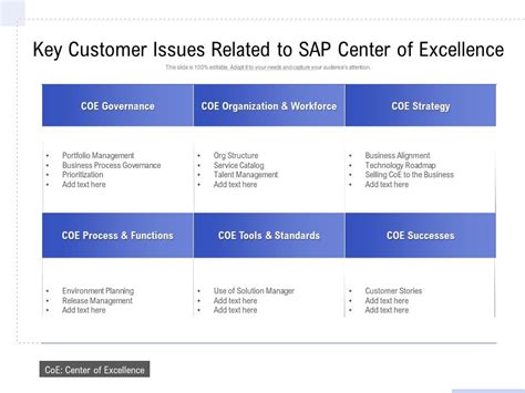 Key Customer Issues Related To Sap Center Of Excellence Presentation