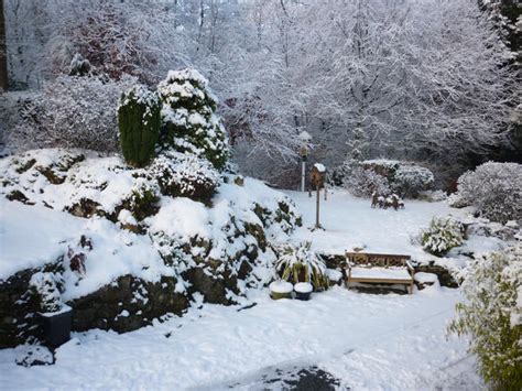 Frosty Winter Garden 4207 Stockarch Free Stock Photo Archive