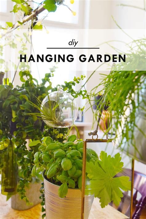 Diy Hanging Garden Build Your Own Indoor Vertical Garden Hanging