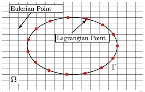 Illustration Of The Immersed Boundary Method The Lagrangian Points