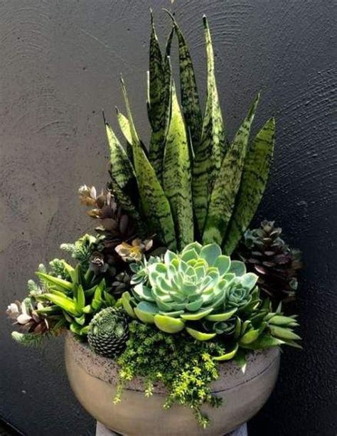 Awesome Succulent Garden Ideas In Your Backyard 30 Succulent Garden Design Succulent Garden