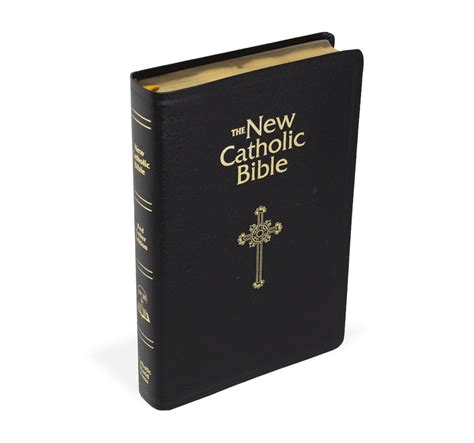 Catholic Book Publishing Ncb Deluxe T Bible Indexed