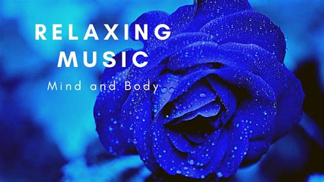 6 Hours Of Relaxing Music Meditation Music Sleep Music Stress Relief Music Spa Music