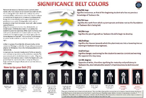 Taekwondo Belt Color Rankings Colorxml