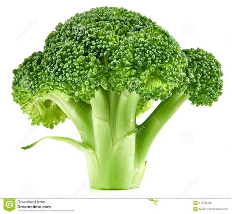 Raw Broccoli Isolated Stock Photo Image Of Piece Background 112766160