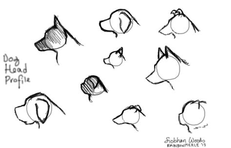 Dog Head Profiles Cartoon Dog Drawing Anime Dog Dog Drawing