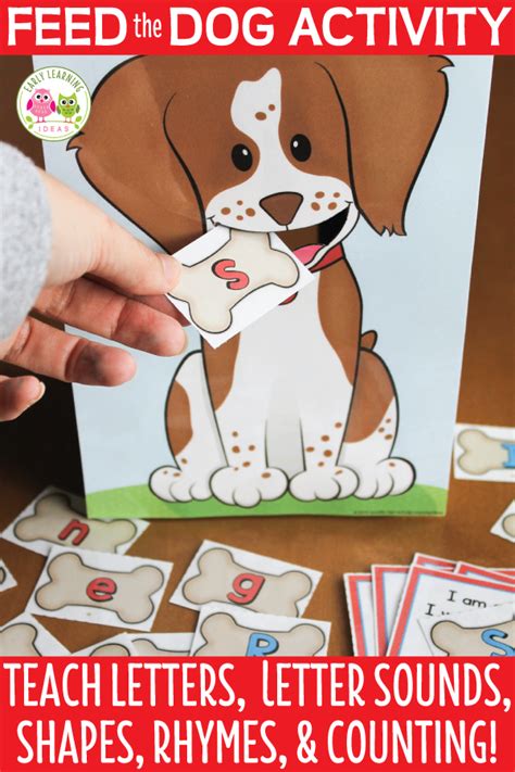Your Kids Will Love These Fun Hands On Pet Activities This Feed The