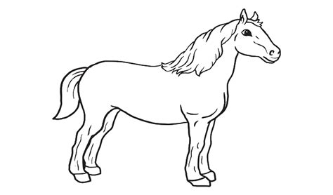 20 gambar kartun kuda poni untuk diwarnai 29 gambar mewarnai my little pony anak 2020 marimewarnai com download gambar kuda p di 2020 gambar poni kuda poni gambar. Contoh Gambar Gambar Mewarnai Binatang Kuda - KataUcap