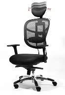 Factor Back Support For Office Chair Amazon 