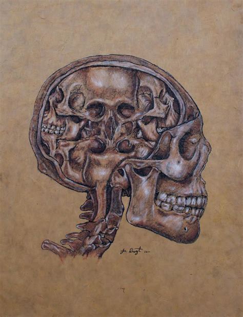 Want to discover art related to schizophrenia? Anatomy Of A Schizophrenic Canvas Print / Canvas Art by ...