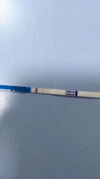 An expired test positive result basically means that the test will claim you are pregnant when you are actually not. Positive Strip Test For Pregnancy - pregnancy test