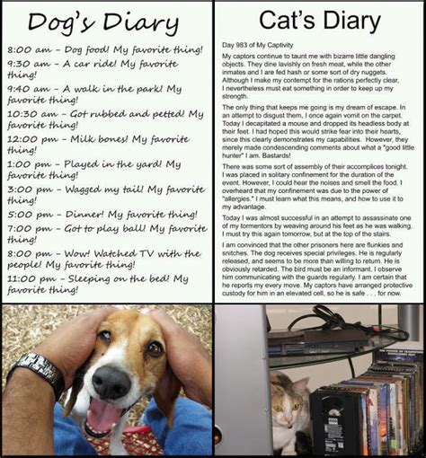 Hilarious Photograph That Shows The Diary Of Your Pet Dog And Pet Cat