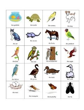Pets in french | vocabulary list with audio, text + video. French Pets and Forest Animals Flash Cards by Bryan ...