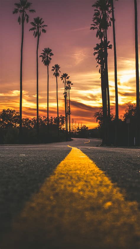 Sunset Road Tree Lined Nature Hd Phone Wallpaper Peakpx