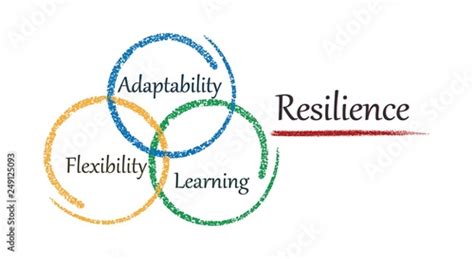Concept Resilience Adaptability Flexibility Learning Vector Image