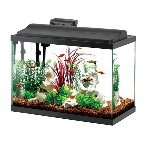 Aquarium Fish Tank Png Transparent Images Png All
