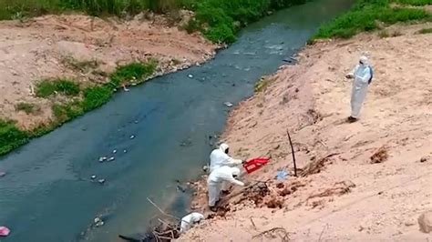 Bukan hanya itu saja peranan penting dari udara ini bukan hanya. Kerajaan punca kes Pasir Gudang jadi lebih teruk?