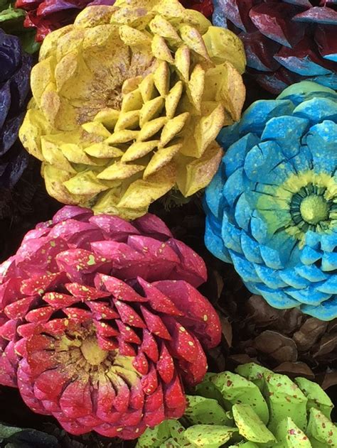 I water it about every 2 weeks now since it's in the sun. Pine cone zinnias...used spray | Pine cone crafts, Cones ...