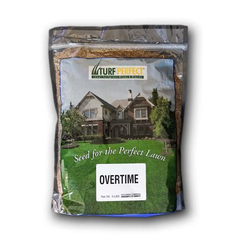 Overtime Tall Fescue Grass Seed A Drought Resistant Deep Rooting D