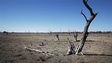 Drought Spending Well Below Assistance During Millennium Drought The