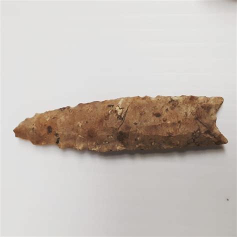 Fluted Projectile Point Photographed By Museum Of Ontario Archaeology