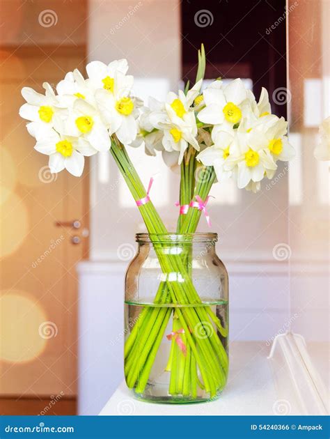 Glass Jar With Fresh White Daffodils Stock Photo Image Of Tied Water