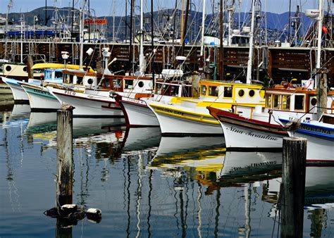 Boats In The Dock In San Francisco California Image Free Stock Photo