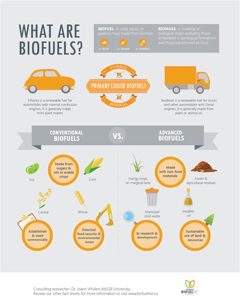 What Are Biofuels Biodiesel Infographic Biofuel