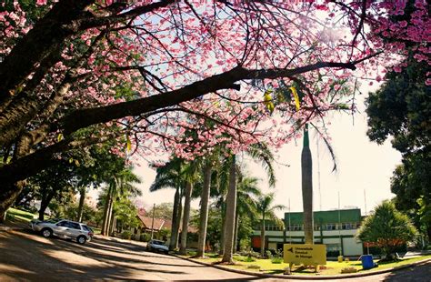 View management and engineering course fees, admission process. UEM gastou R$ 7,5 milhões em horas extras e governo pede ...