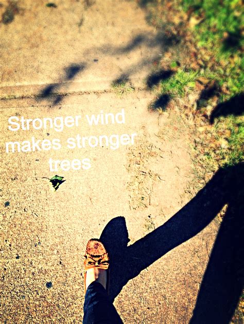 The stronger the wind, the stronger the tree ? Amazing quote :) amazing day | Amazing quotes ...
