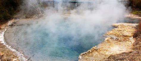 Rotorua Hot Springs And Geothermal Experiences Rotorua Canopy Tours
