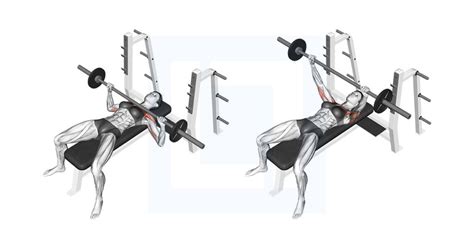 Barbell Bench Press Guide Benefits And Form