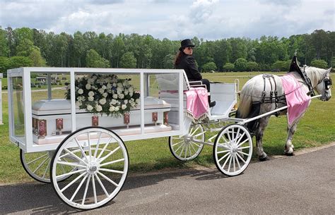 white enlosed full window horse drawn funeral carriage – Southern